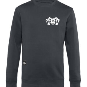 Hai Sweater Men - Small Kettle Palm